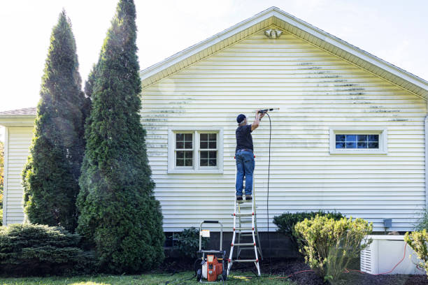 Best Graffiti Removal  in Herlong, CA